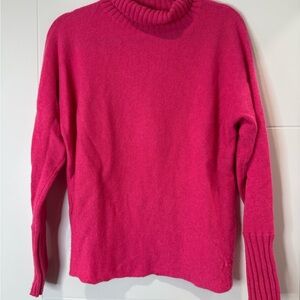 Tenlea Hunter 100% Cashmere Turtleneck Sweater